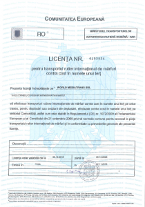 Road Freight Licence